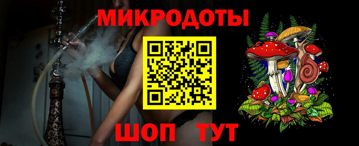 Псилоцибиновые грибы прущие грибы Верхняя Пышма
